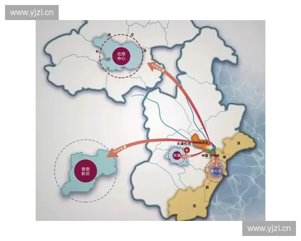 以高位组织为核心的战略布局与协同发展路径探索